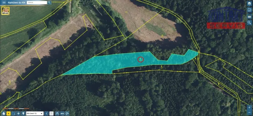 Prodej lesa, Bradlecká Lhota, 5202 m2