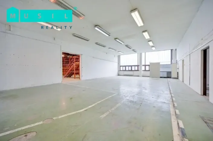 Pronájem komerční nemovitosti, Olomouc - Nové Sady, Werichova, 542 m2