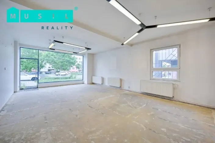 Pronájem komerční nemovitosti, Olomouc - Nové Sady, Werichova, 542 m2
