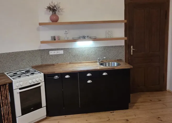Pronájem bytu 1+1, Ústí nad Labem - Střekov, Žukovova, 49 m2