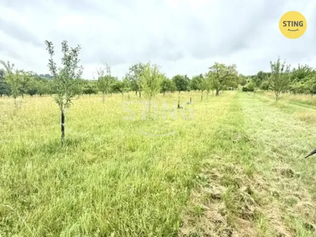 Prodej sadu/vinice, Strážnice, 4194 m2