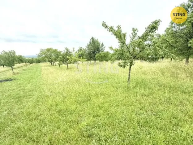 Prodej sadu/vinice, Strážnice, 4194 m2