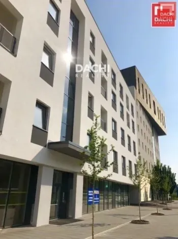 Pronájem bytu 1+kk, Olomouc, Wolkerova, 33 m2