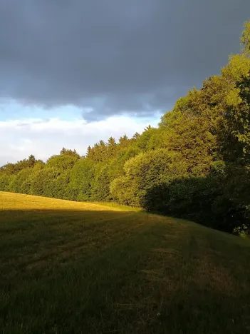 Prodej chalupy, Kounov, 267 m2