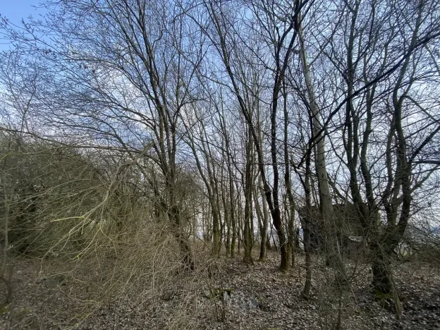 Prodej louky, Městečko Trnávka - Lázy, 1158 m2