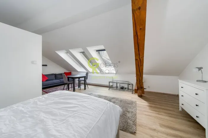 Pronájem bytu 1+kk, Praha - Žižkov, Čajkovského, 39 m2