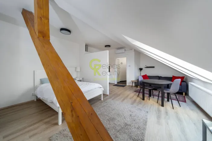 Pronájem bytu 1+kk, Praha - Žižkov, Čajkovského, 39 m2