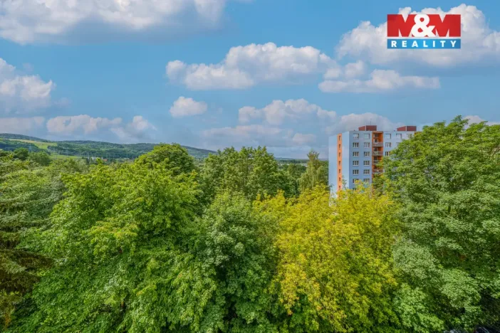 Prodej bytu 3+1, Sokolov, Slavíčkova, 66 m2