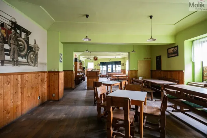 Prodej restaurace, Litvínov - Horní Litvínov, Ruská, 256 m2