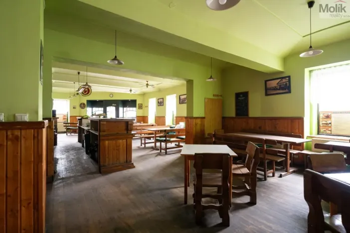 Prodej restaurace, Litvínov - Horní Litvínov, Ruská, 256 m2