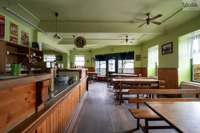 Prodej restaurace, Litvínov - Horní Litvínov, Ruská, 256 m2