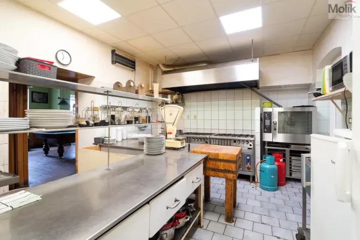 Prodej restaurace, Litvínov - Horní Litvínov, Ruská, 256 m2