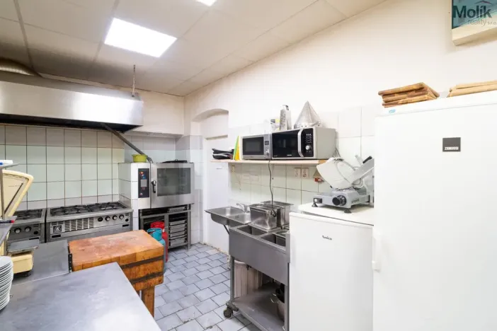 Prodej restaurace, Litvínov - Horní Litvínov, Ruská, 256 m2
