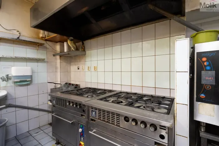 Prodej restaurace, Litvínov - Horní Litvínov, Ruská, 256 m2