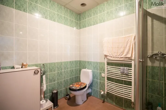 Prodej restaurace, Litvínov - Horní Litvínov, Ruská, 256 m2
