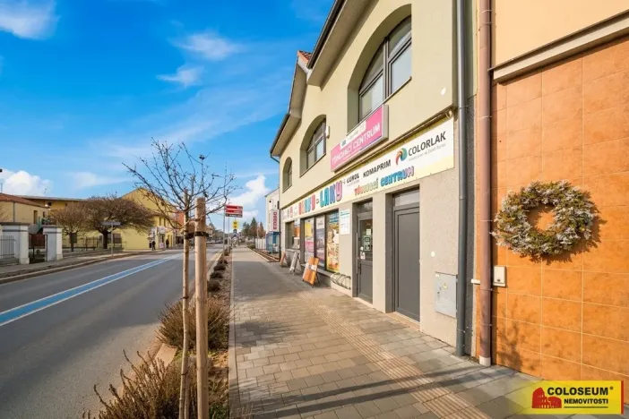 Prodej rodinného domu, Pohořelice, 350 m2
