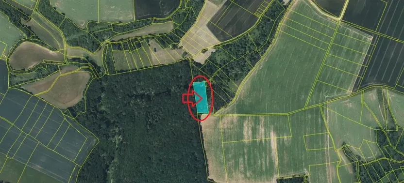 Prodej lesa, Řepín, 5226 m2