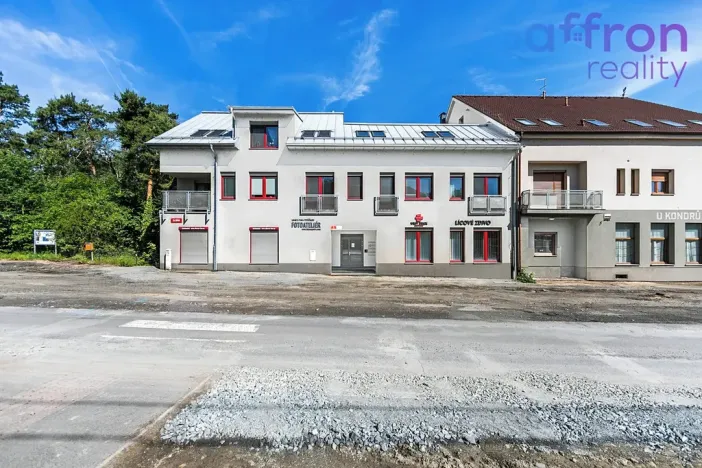 Prodej bytu 3+kk, Plzeň, 28. října, 84 m2