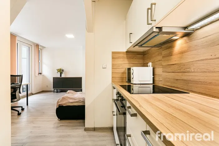 Pronájem bytu 1+kk, Brno - Pisárky, Hlinky, 30 m2