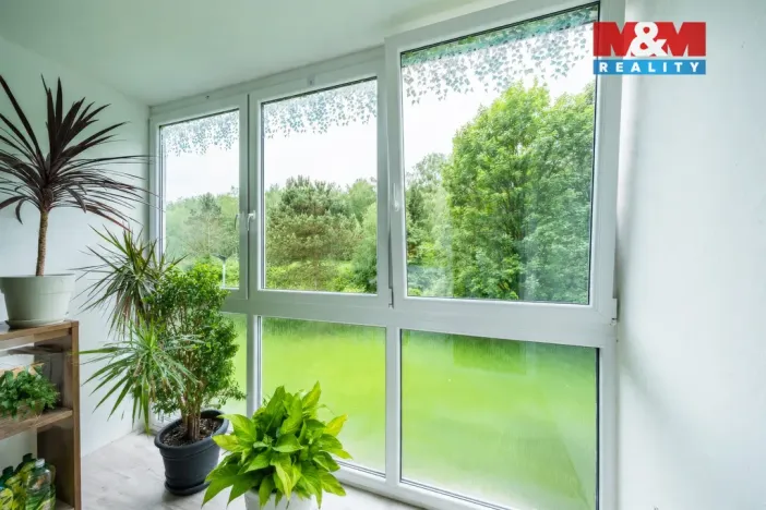 Prodej bytu 3+1, Kraslice, Družstevní, 62 m2
