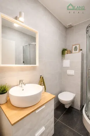 Pronájem bytu 1+kk, Brno, Koliště, 22 m2