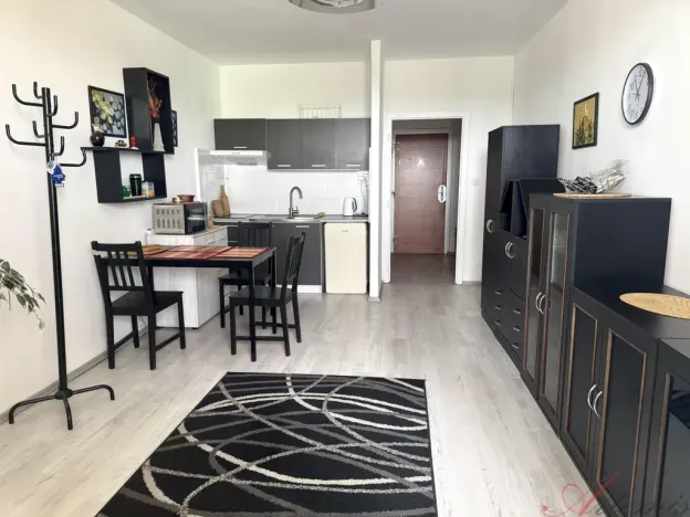 Prodej bytu 1+kk, Ostrava - Moravská Ostrava, Lechowiczova, 27 m2