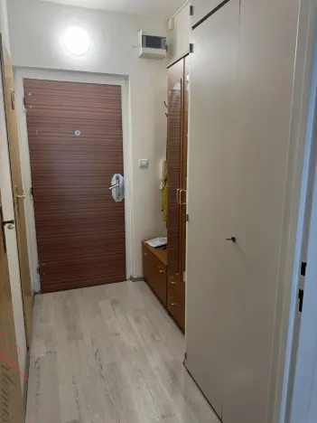 Prodej bytu 1+kk, Ostrava - Moravská Ostrava, Lechowiczova, 27 m2