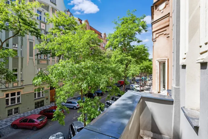 Prodej bytu 3+kk, Praha - Vinohrady, Mánesova, 90 m2