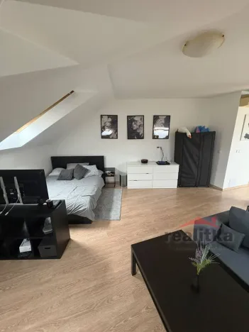 Pronájem bytu 1+kk, Opava - Předměstí, Na Rybníčku, 50 m2