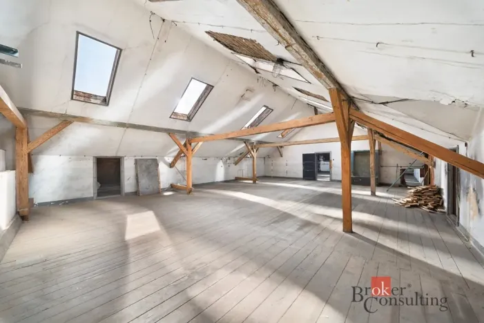 Prodej činžovního domu, Krnov - Pod Cvilínem, Stará, 1100 m2
