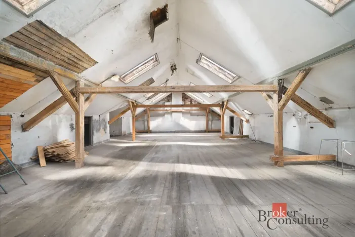 Prodej činžovního domu, Krnov - Pod Cvilínem, Stará, 1100 m2