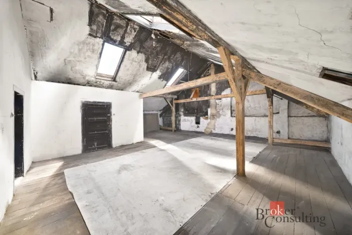 Prodej činžovního domu, Krnov - Pod Cvilínem, Stará, 1100 m2