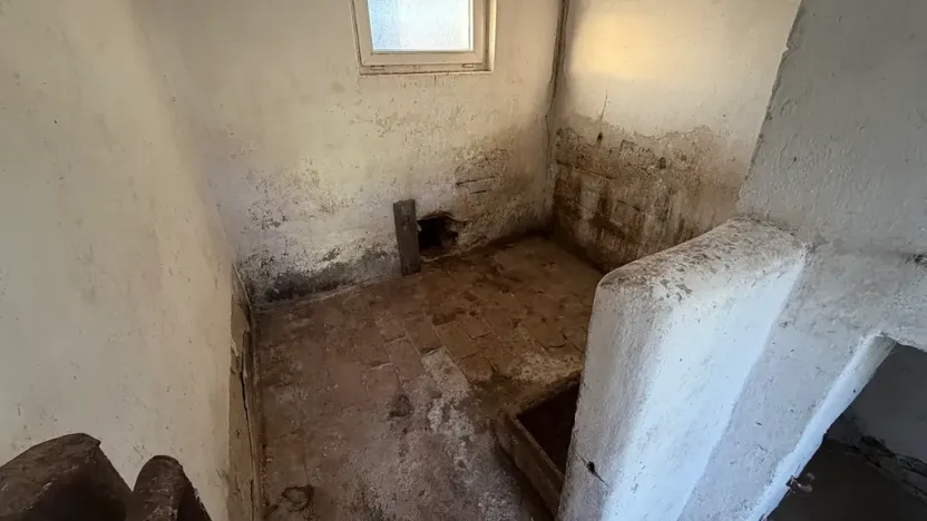 Prodej rodinného domu, Hrušovany nad Jevišovkou, 300 m2