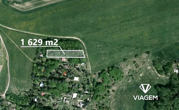 Prodej lesa, Prostějovičky, 1629 m2