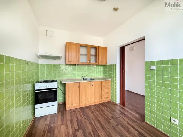Pronájem bytu 2+1, Háj u Duchcova, Kubátova, 65 m2