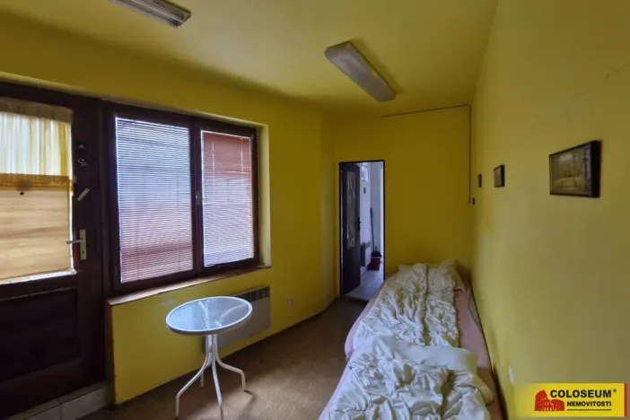 Prodej obchodního prostoru, Pohořelice, 350 m2