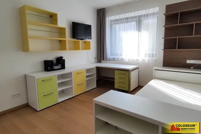 Pronájem rodinného domu, Brno, Dykova, 316 m2