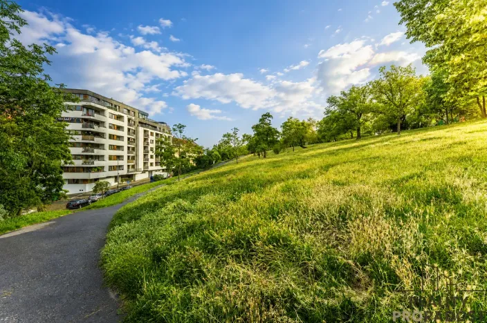 Prodej bytu 1+kk, Praha, Kališnická, 34 m2