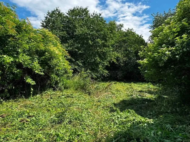 Prodej rodinného domu, Hulín - Chrášťany, 370 m2