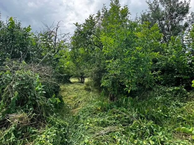 Prodej rodinného domu, Hulín - Chrášťany, 370 m2