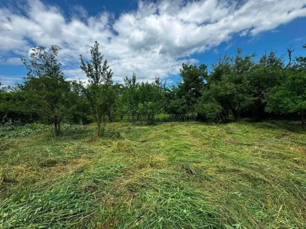 Prodej zemědělské usedlosti, Hulín - Chrášťany, 370 m2