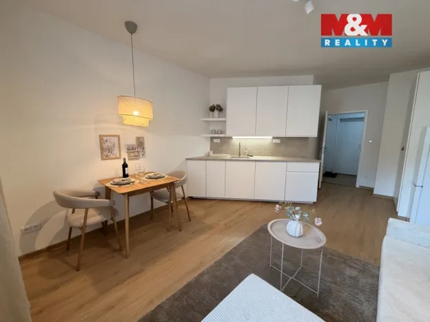 Pronájem bytu 1+kk, Příbram - Příbram I, Špitálská, 28 m2