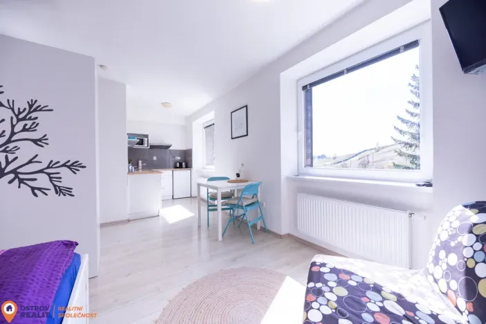 Prodej bytu 1+kk, Staré Město - Stříbrnice, 30 m2
