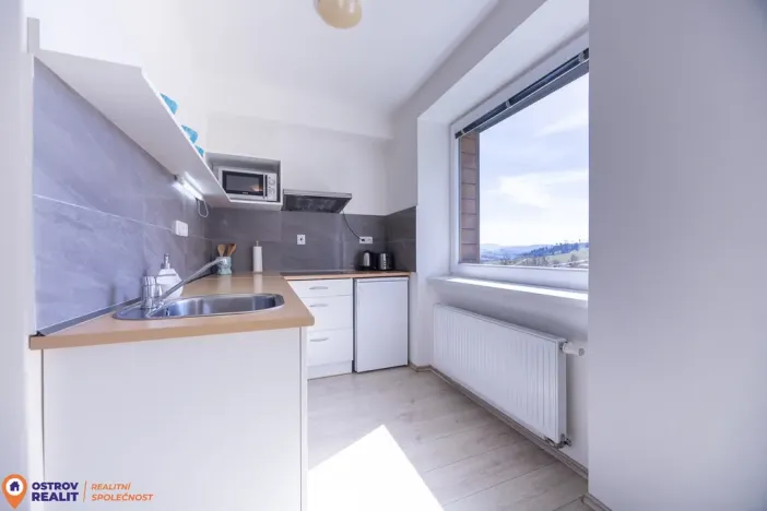Prodej bytu 1+kk, Staré Město - Stříbrnice, 30 m2