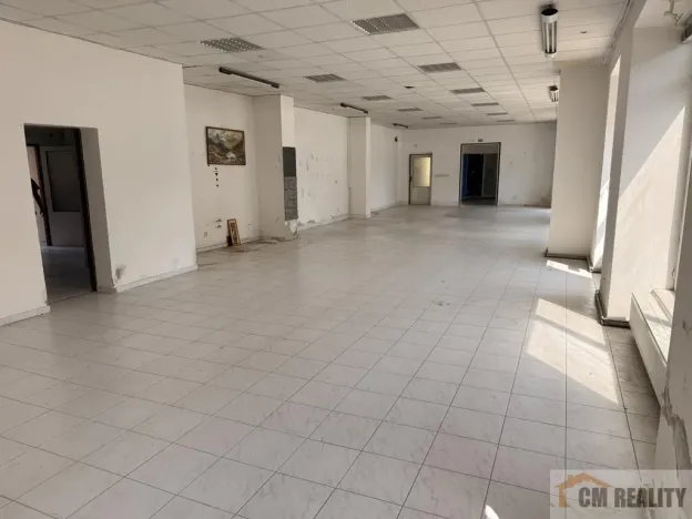 Prodej komerční nemovitosti, Prostějov, Wolkerova, 300 m2