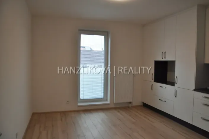 Pronájem bytu 1+kk, České Budějovice - České Budějovice 7, Šumavská, 29 m2
