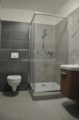 Pronájem bytu 1+kk, České Budějovice - České Budějovice 7, Šumavská, 29 m2