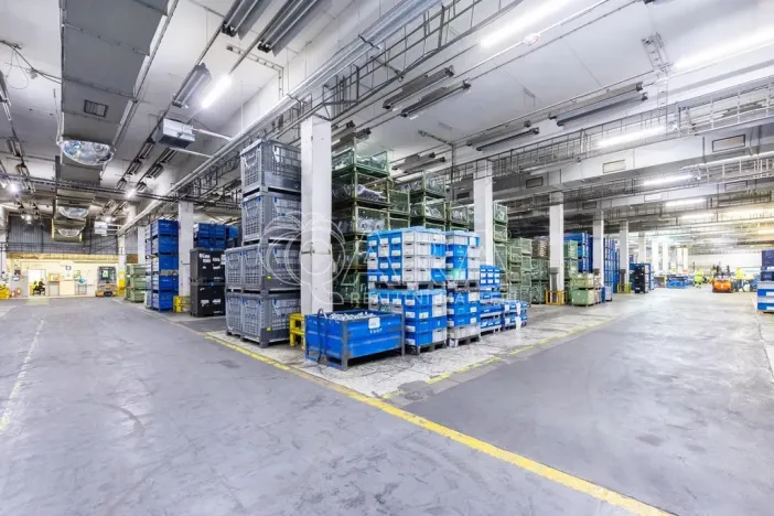 Pronájem výrobních prostor, Písek - Budějovické Předměstí, U Vodárny, 3025 m2