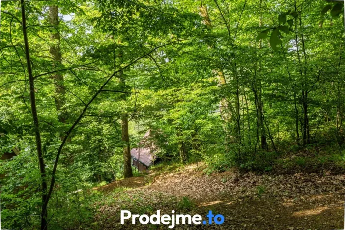 Prodej chaty, Oslnovice, 51 m2