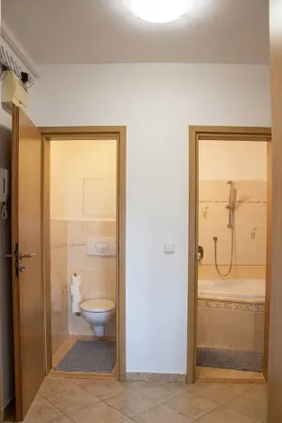 Pronájem bytu 3+1, České Budějovice, Dobrovodská, 66 m2